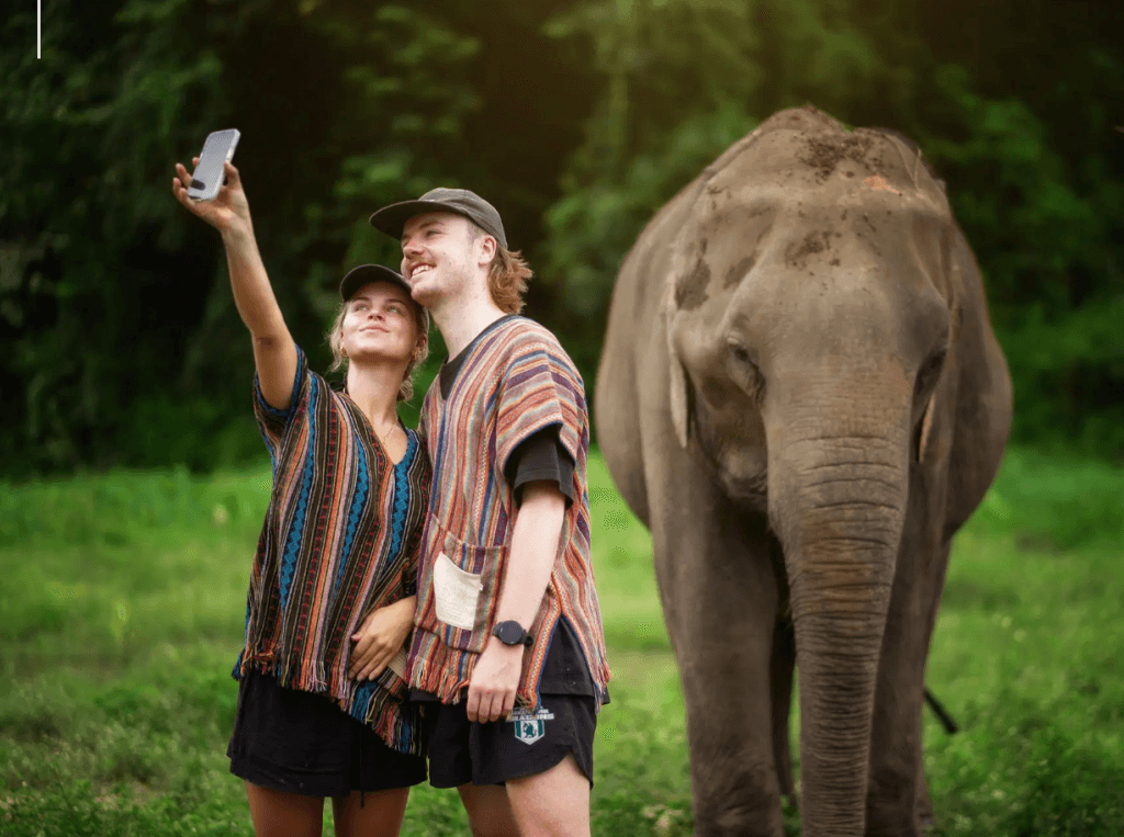 Phuket: Gentle Giants – Feeding and Shower Fun — photo 2 of 28