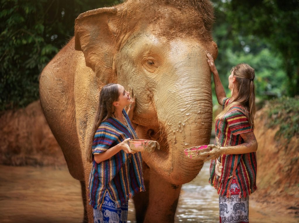 Phuket: Elephant Jungle Trek & Care Experience — photo 15 of 17