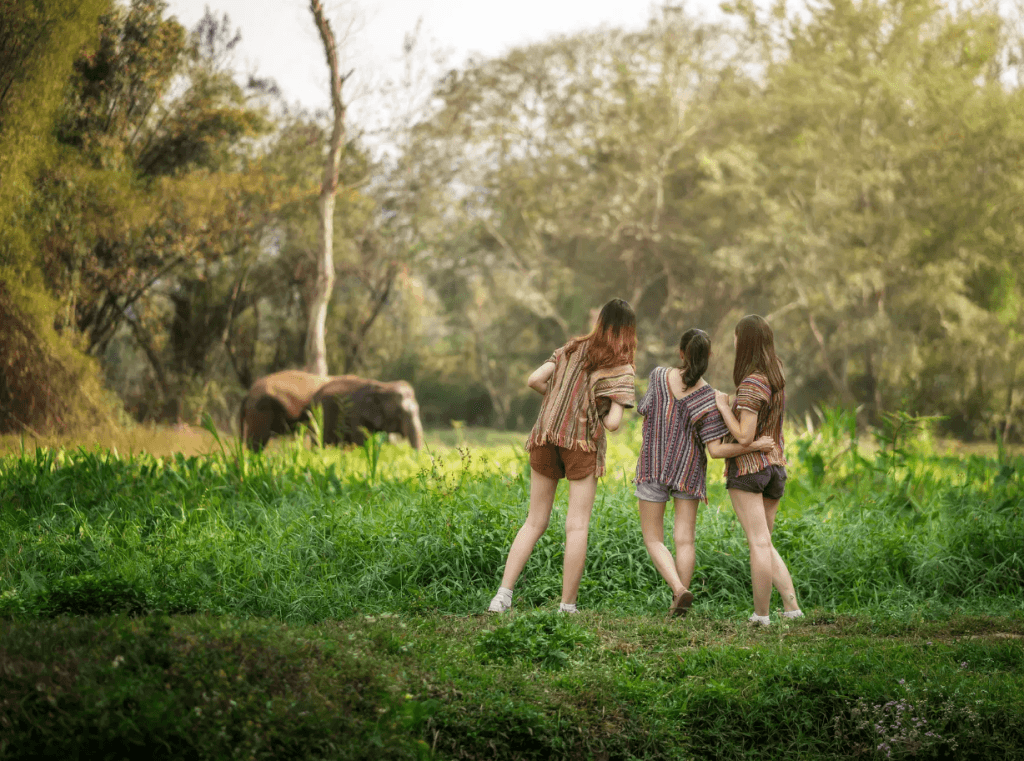 Phuket: Experience Getting Up Close with Elephants in Nature — photo 8 of 15