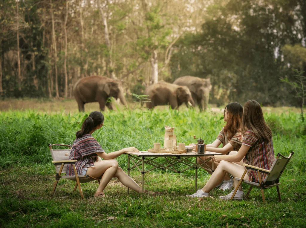 Phuket: Experience Getting Up Close with Elephants in Nature — photo 9 of 15