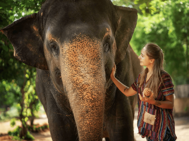 Phuket: Elephant Jungle Trek & Care Experience — photo 5 of 17