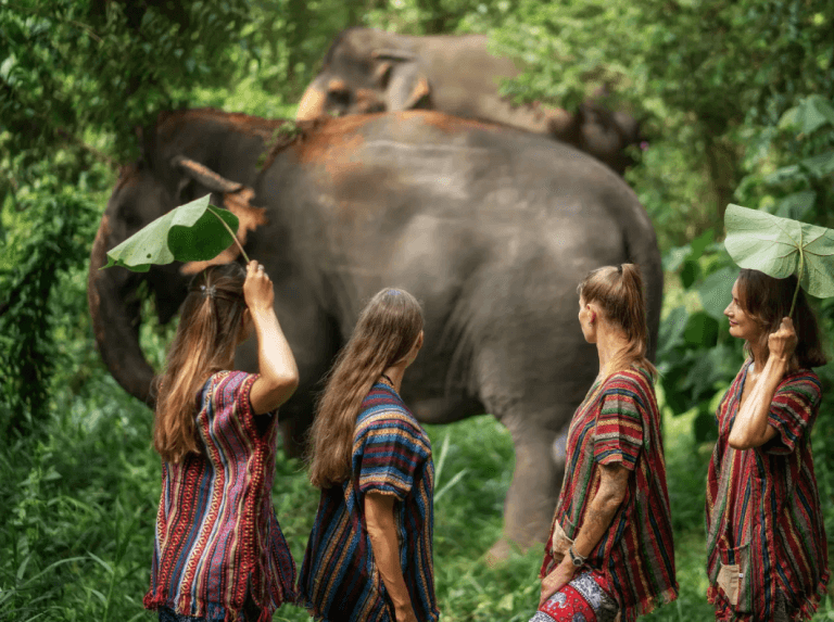 Phuket: Elephant Jungle Trek & Care Experience — photo 2 of 17