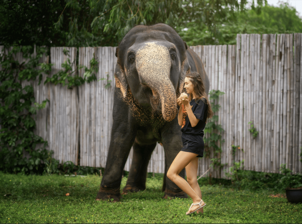 Phuket: Gentle Giants – Feeding and Shower Fun — photo 8 of 28