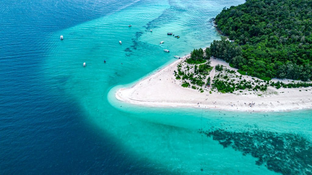 Phuket: Phi Phi Island and Mai Ton Island Day-Trip by Premium Speed Catamaran — photo 19 of 47