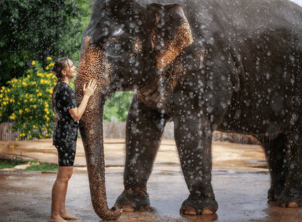 Phuket: Gentle Giants – Feeding and Shower Fun — photo 9 of 28
