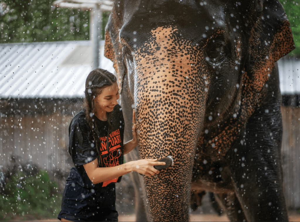 Phuket: Gentle Giants – Feeding and Shower Fun — photo 10 of 28