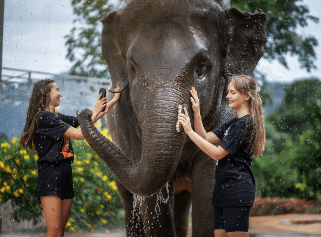 Phuket: Gentle Giants – Feeding and Shower Fun — photo 12 of 28