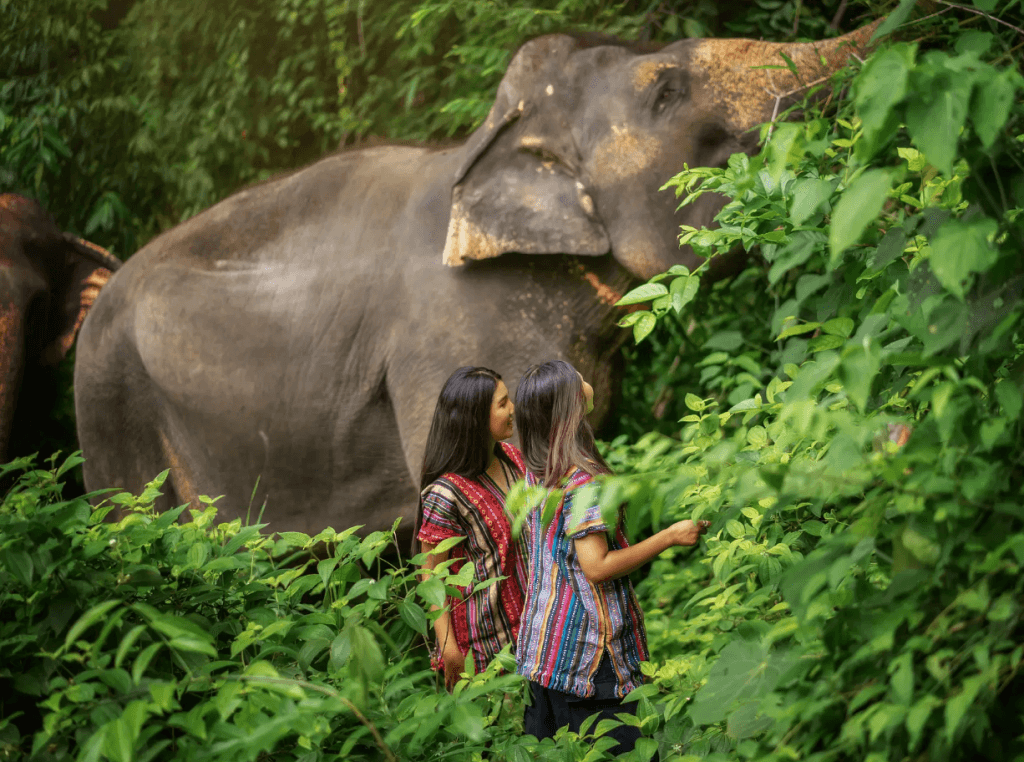 Phuket: Elephant Jungle Trek & Care Experience — photo 6 of 17