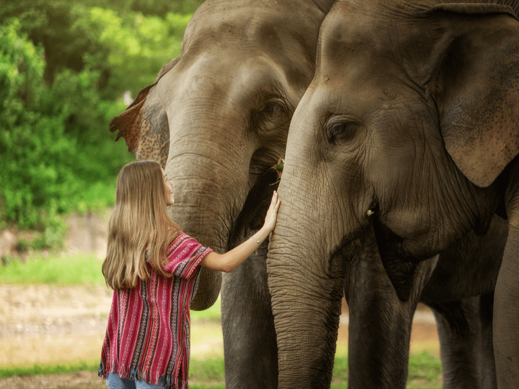 Phuket: Gentle Giants – Feeding and Shower Fun — photo 20 of 28