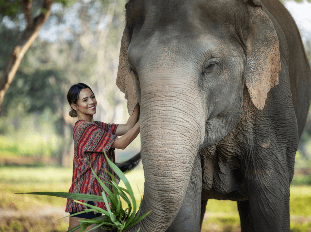 Phuket: Gentle Giants – Feeding and Shower Fun — photo 21 of 28