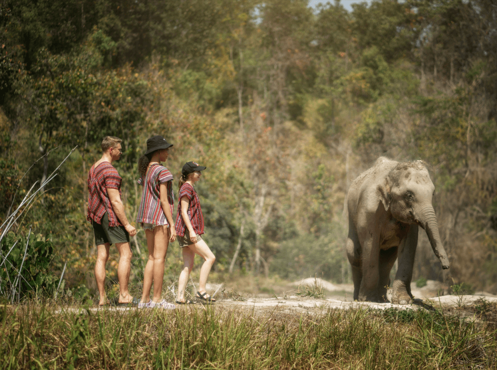 Phuket: Experience Getting Up Close with Elephants in Nature — photo 15 of 15