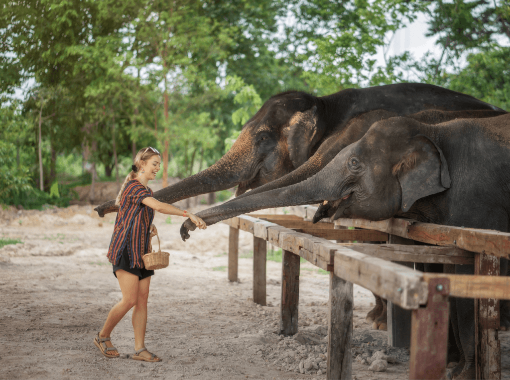 Phuket: Gentle Giants – Feeding and Shower Fun — photo 15 of 28