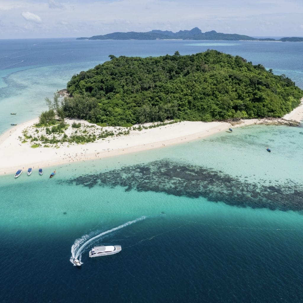 Phuket: Phi Phi Island Tour - Maya Bay & Bamboo Island By Premium Speed Catamaran — photo 7 of 45