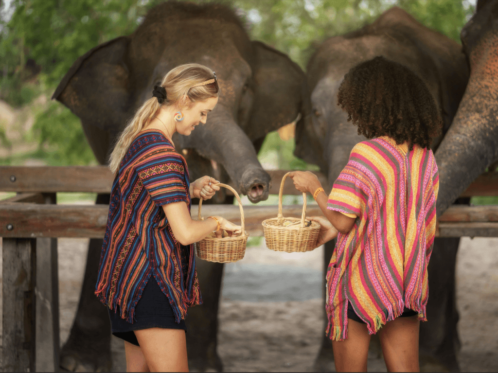 Phuket: Gentle Giants – Feeding and Shower Fun — photo 24 of 28