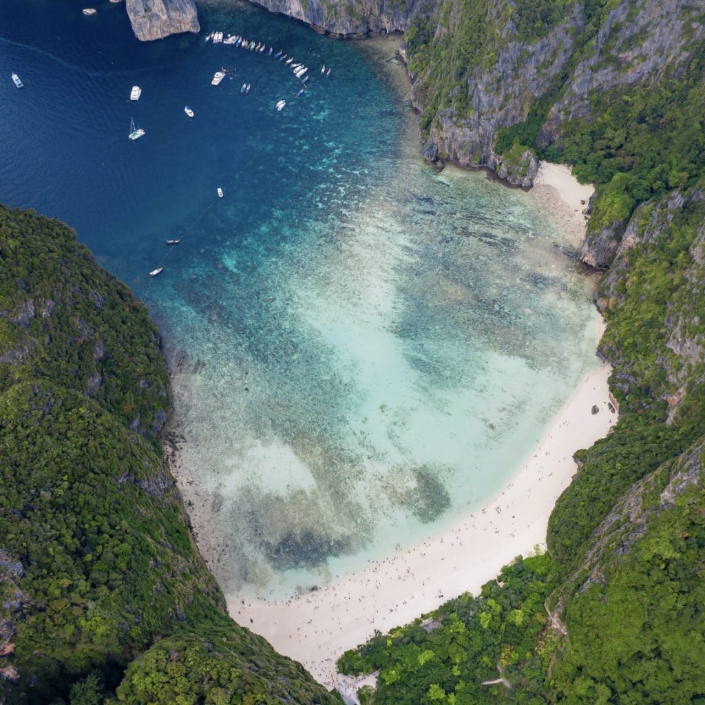 Phuket: Phi Phi Island Tour - Maya Bay & Bamboo Island By Premium Speed Catamaran — photo 17 of 45
