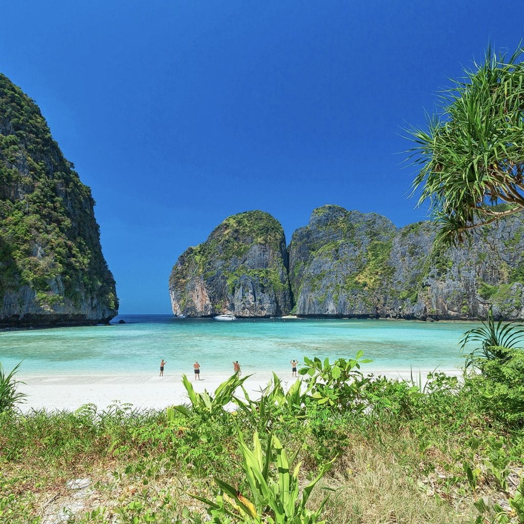 Phuket: Phi Phi Island Tour - Maya Bay & Bamboo Island By Premium Speed Catamaran — photo 19 of 45