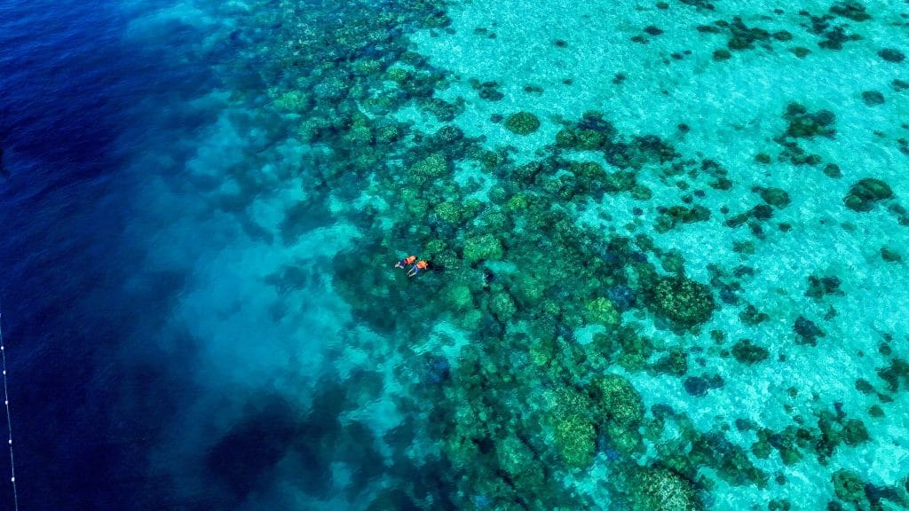 Phuket: PhiPhi Island - Pileh Lagoon - Maya Bay - Maiton Island - Sunset (Whale Shark Fleet) — photo 13 of 28