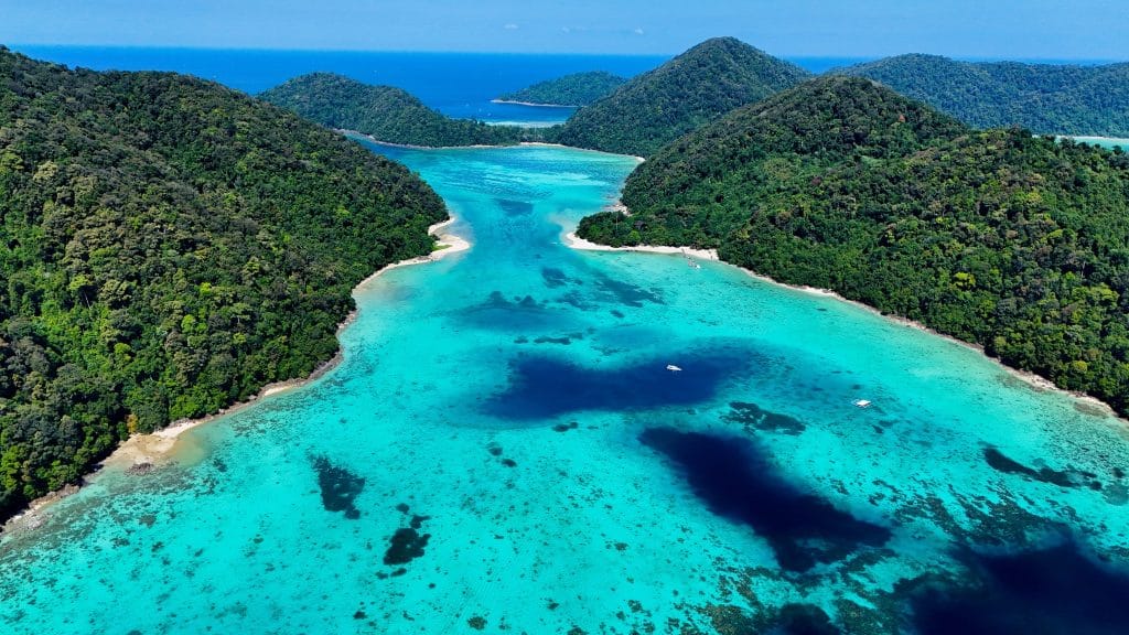 Phuket: Island Hopping to Phi Phi, Maya Bay & Bamboo Island by Speedboat — photo 21 of 27
