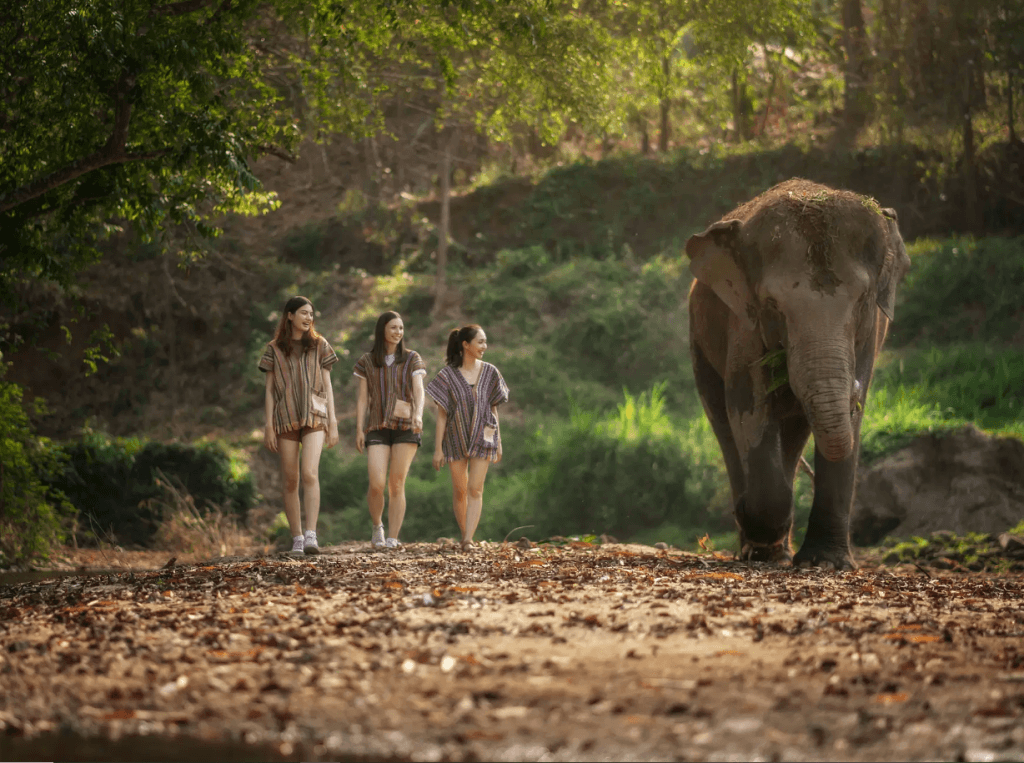 Phuket: Elephant Jungle Trek & Care Experience — photo 17 of 17