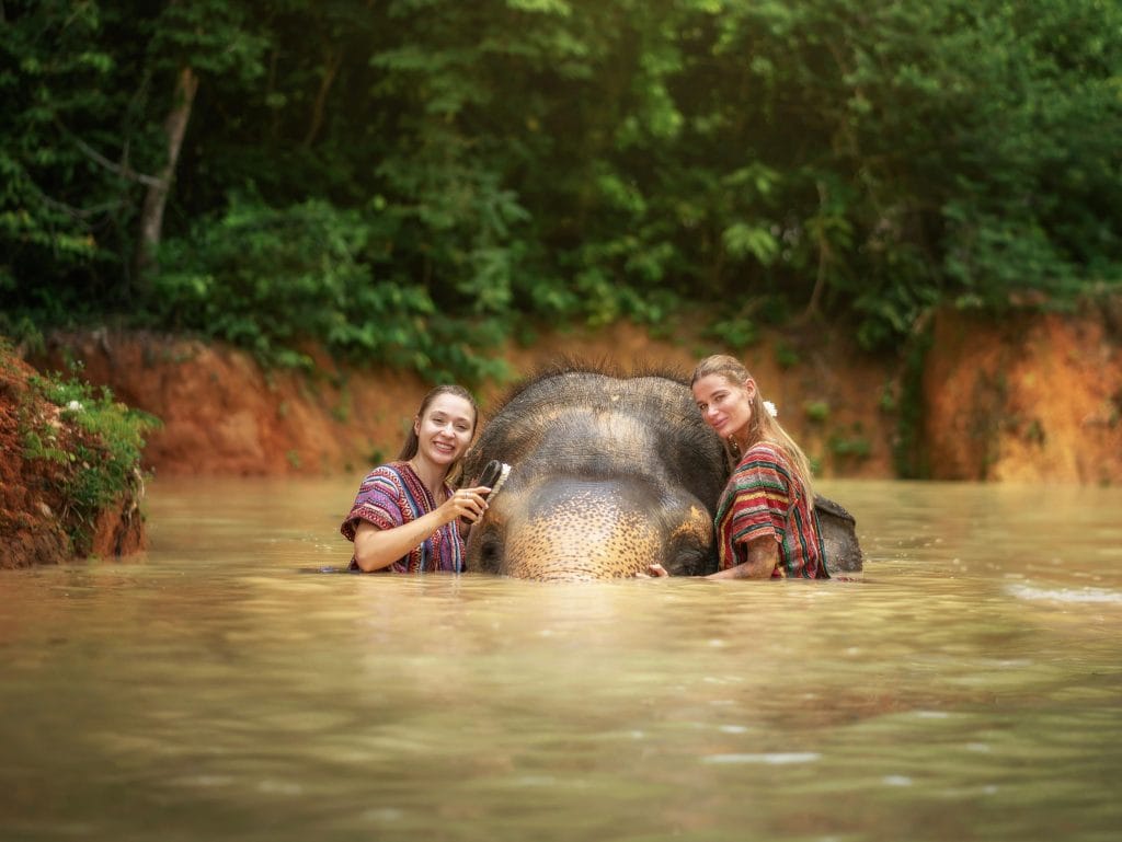 Phuket: Elephant Jungle Trek & Care Experience — photo 13 of 17