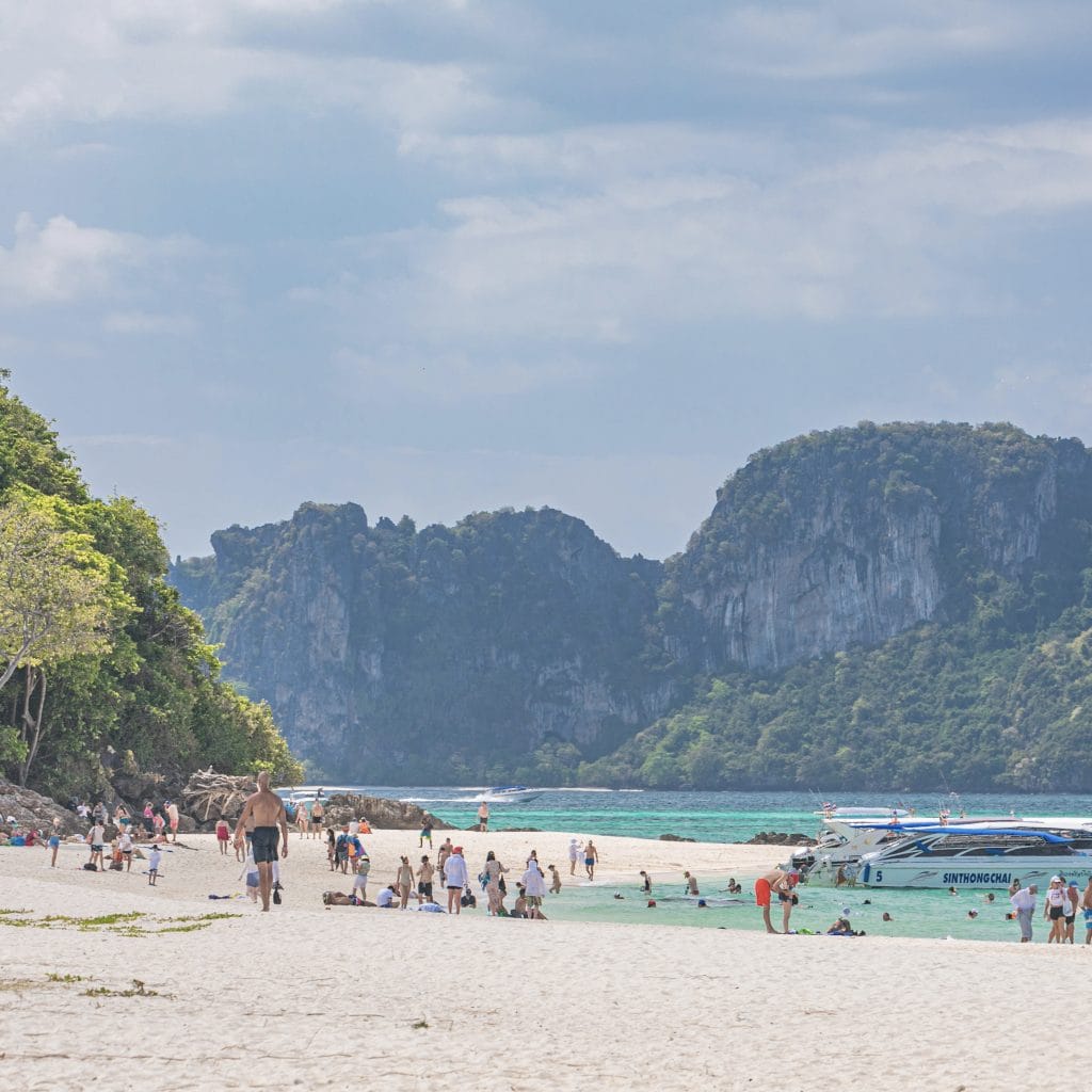Phuket: Phi Phi Island Tour - Maya Bay & Bamboo Island By Premium Speed Catamaran — photo 34 of 45