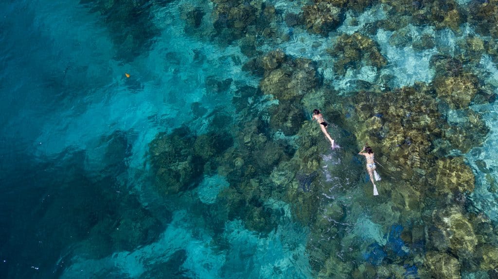 Phuket: Surin Islands Snorkeling Tour - Discover Vibrant Coral Reefs & Moken Culture — photo 20 of 30