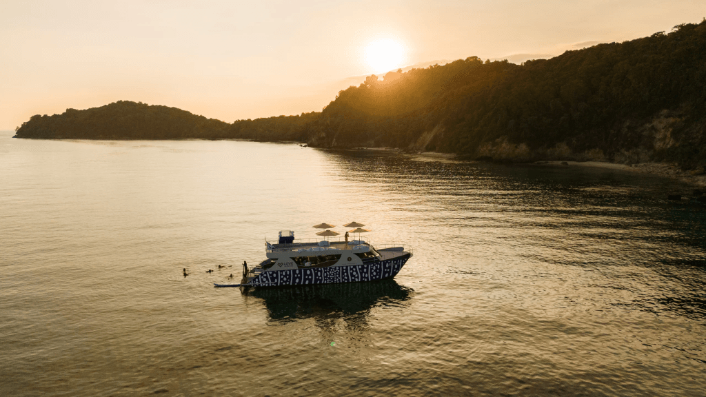 Phuket: PhiPhi Island - Pileh Lagoon - Maya Bay - Maiton Island - Sunset (Whale Shark Fleet) — photo 19 of 28