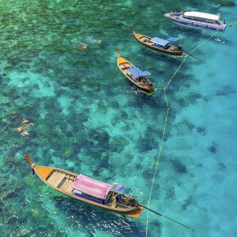 Phuket: Phi Phi Island Tour - Maya Bay & Bamboo Island By Premium Speed Catamaran — photo 5 of 45