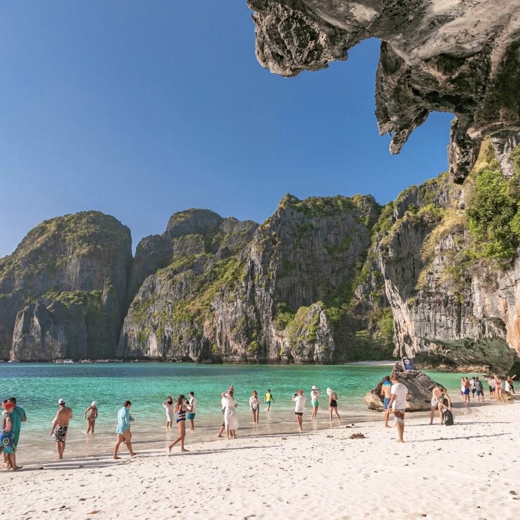 Phuket: Phi Phi Island Tour - Maya Bay & Bamboo Island By Premium Speed Catamaran — photo 21 of 45