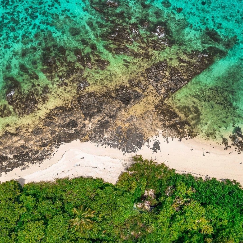 Phuket: Phi Phi Island Tour - Maya Bay & Bamboo Island By Premium Speed Catamaran — photo 26 of 45