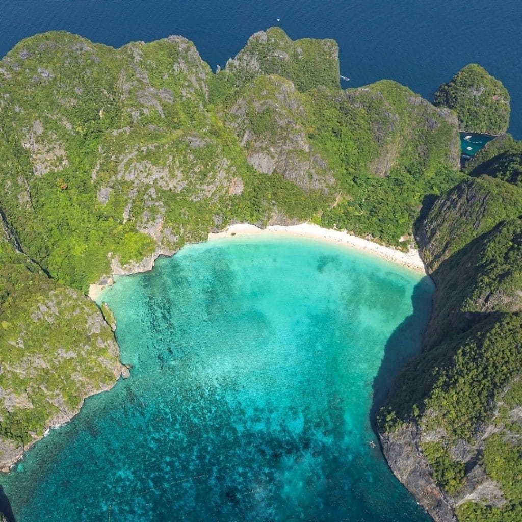 Phuket: Phi Phi Island Tour - Maya Bay & Bamboo Island By Premium Speed Catamaran — photo 27 of 45