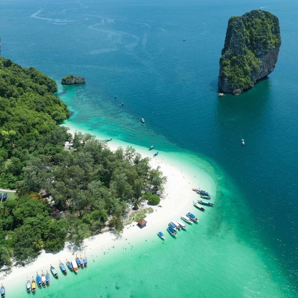 Phuket: Phi Phi Island Tour - Maya Bay & Bamboo Island By Premium Speed Catamaran — photo 3 of 45