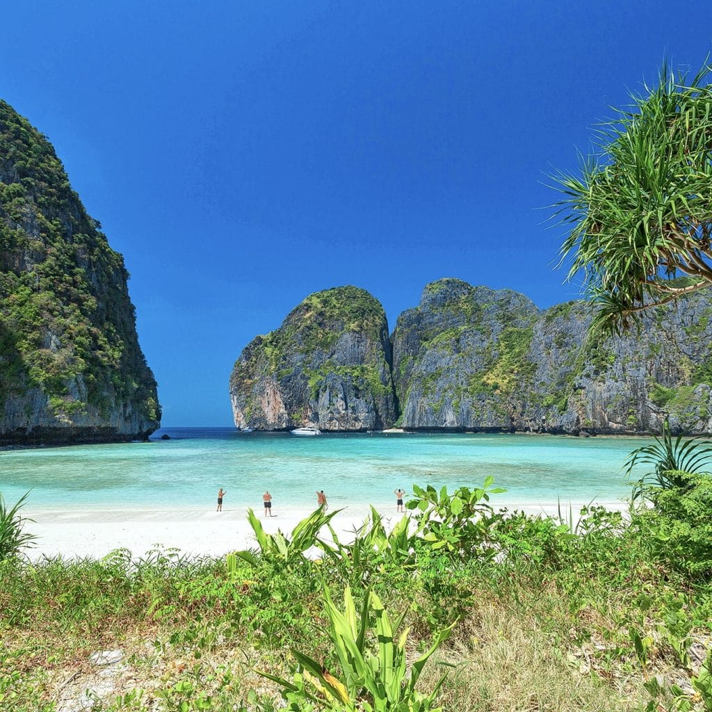 Phuket: Phi Phi Island Tour - Maya Bay & Bamboo Island By Premium Speed Catamaran — photo 31 of 45