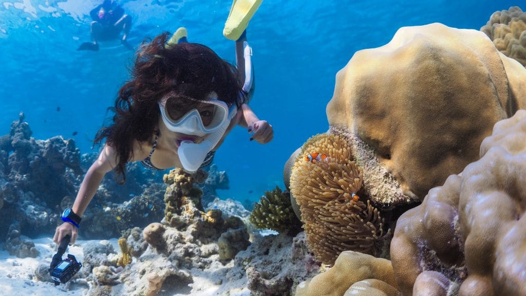 Snorkeller in a mask swimming over colourful hard corals in clear blue Andaman Sea water