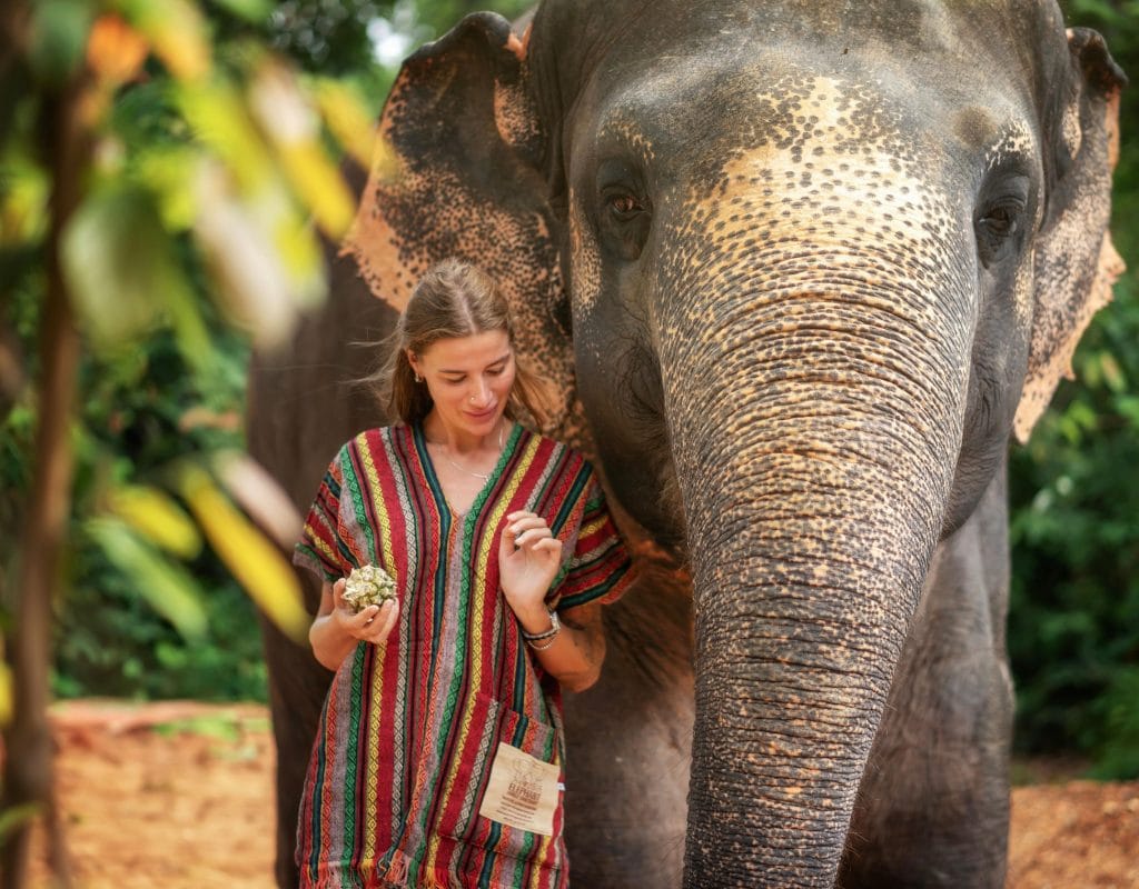 Phuket: Elephant Jungle Trek & Care Experience — photo 16 of 17