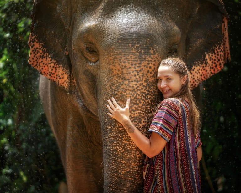 Phuket: Elephant Jungle Trek & Care Experience — photo 4 of 17